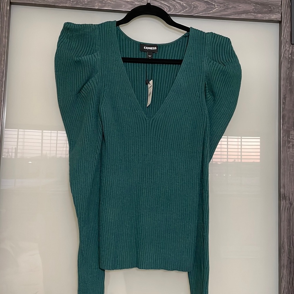 Express Puffed shoulder Long Sleeve Sweater